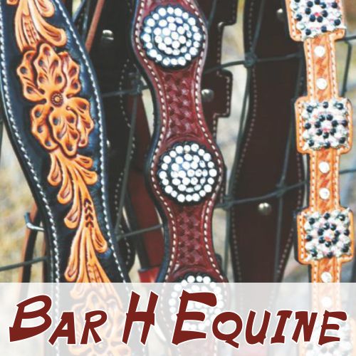 Bar H Equine